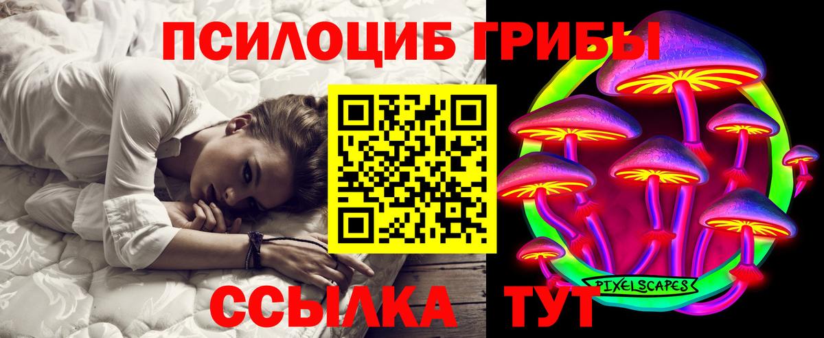 Псилоцибиновые грибы ЛСД Асино